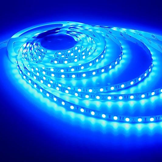 5050 LED Strips (Blue Light)